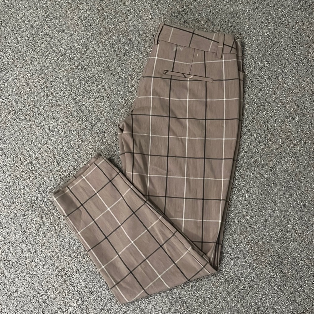 Express Dress Pant